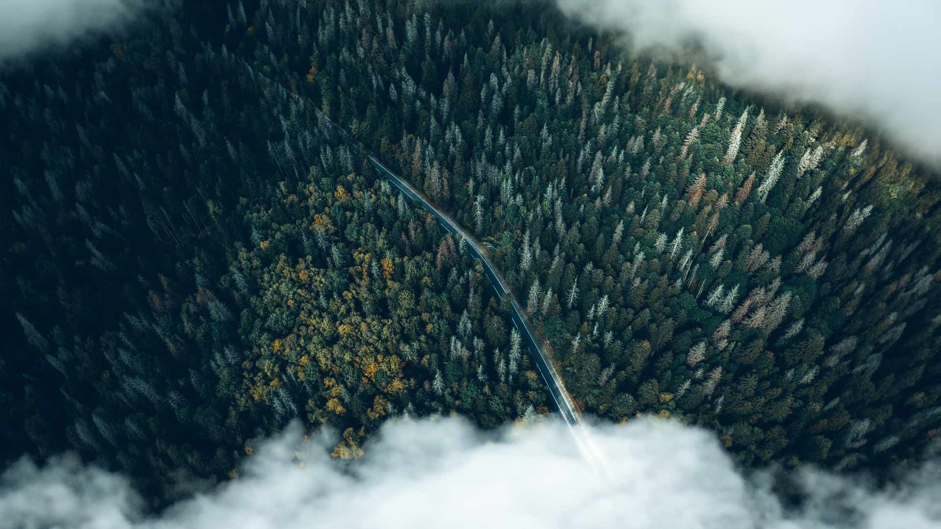 formations-numerique-responsable